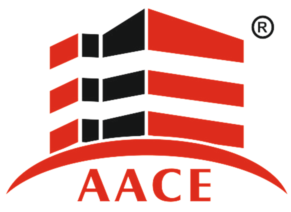 AACE MEGAINFRA PVT LTD